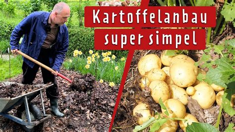 laubkartoffeln|Kartoffeln anbauen